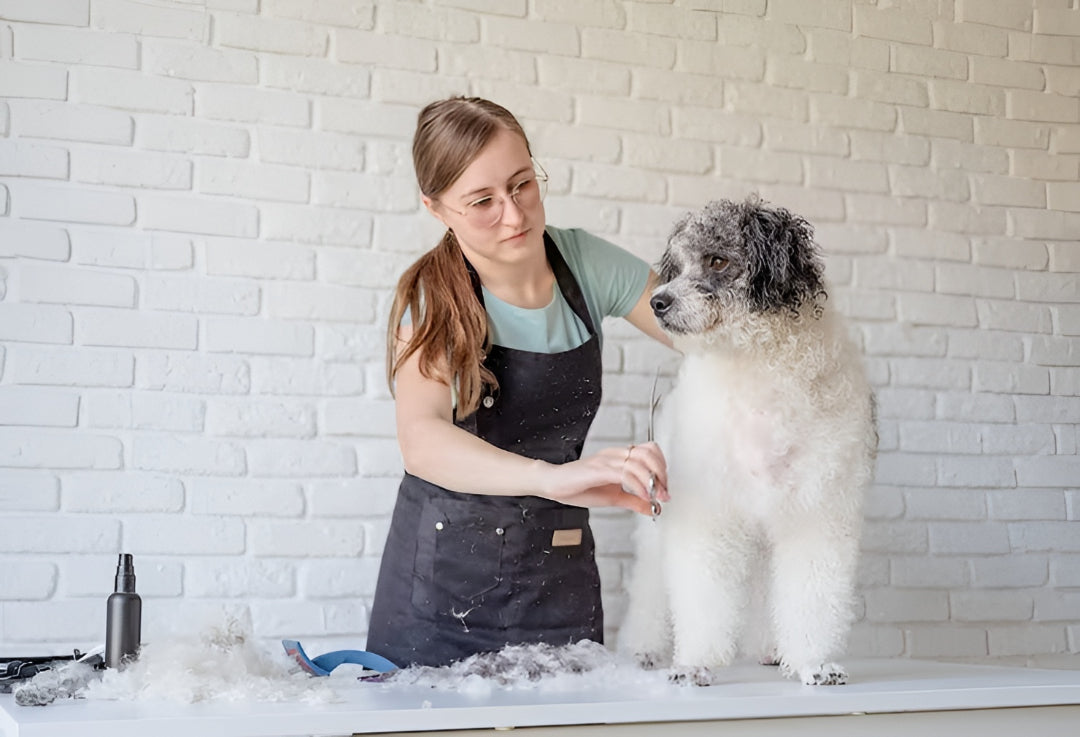 Grooming & Hygiene Care